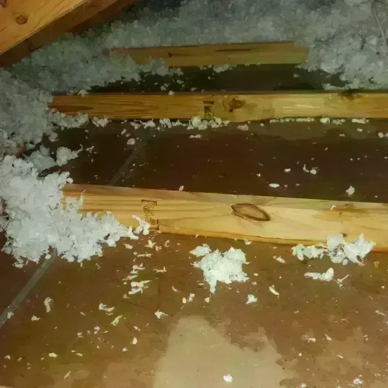 Attic Water Damage in Medina, TX