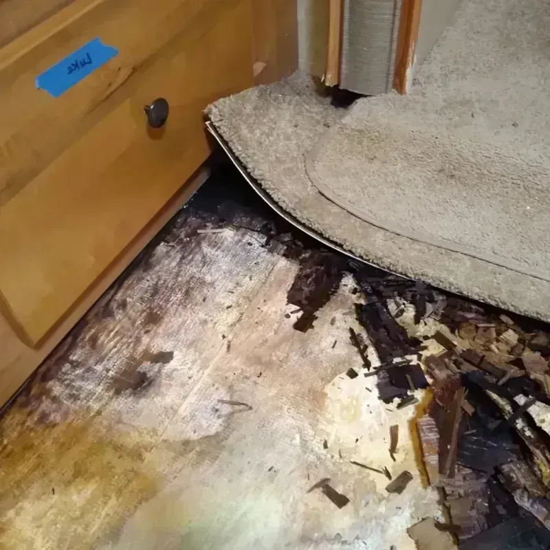 Wood Floor Water Damage in Medina, TX